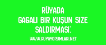 Rüyada Gagalı Bir Kuşun Size Saldırması:
