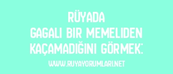 Rüyada Gagalı Bir Memeliden Kaçamadığını Görmek: