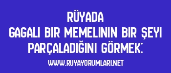 Rüyada Gagalı Bir Memelinin Bir Şeyi Parçaladığını Görmek: