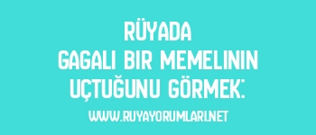 Rüyada Gagalı Bir Memelinin Uçtuğunu Görmek: