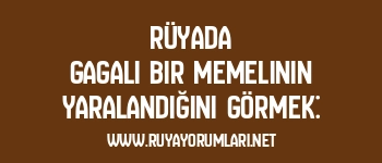 Rüyada Gagalı Bir Memelinin Yaralandığını Görmek: