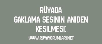 Rüyada Gaklama Sesinin Aniden Kesilmesi: