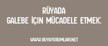 Rüyada Galebe İçin Mücadele Etmek: