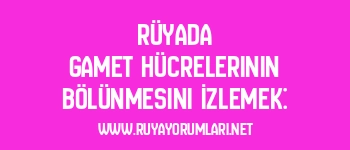 Rüyada Gamet Hücrelerinin Bölünmesini İzlemek: