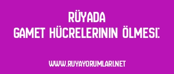 Rüyada Gamet Hücrelerinin Ölmesi: