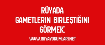 Rüyada Gametlerin Birleştiğini Görmek: