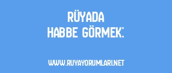 Rüyada Habbe Görmek: