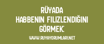 Rüyada Habbenin Filizlendiğini Görmek: