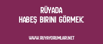 Rüyada Habeş Birini Görmek: