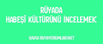 Rüyada Habeşî Kültürünü İncelemek: