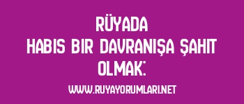 Rüyada Habis Bir Davranışa Şahit Olmak: