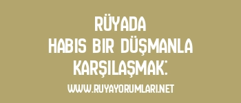 Rüyada Habis Bir Düşmanla Karşılaşmak: