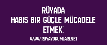 Rüyada Habis Bir Güçle Mücadele Etmek: