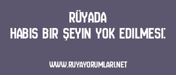 Rüyada Habis Bir Şeyin Yok Edilmesi: