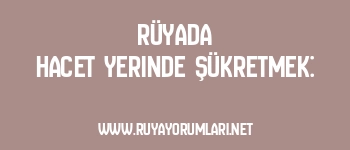 Rüyada Hacet Yerinde Şükretmek: