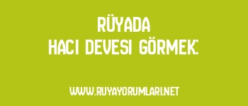 Rüyada Hacı Devesi Görmek: