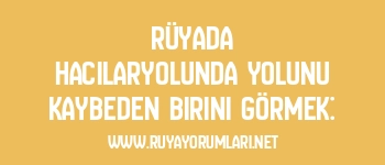 Rüyada Hacılaryolunda Yolunu Kaybeden Birini Görmek: