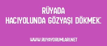 Rüyada Hacıyolunda Gözyaşı Dökmek: