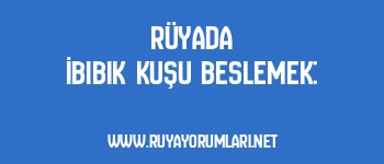 Rüyada İbibik Kuşu Beslemek: