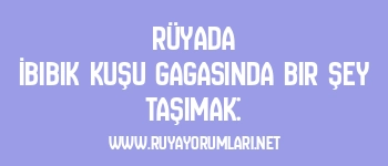 Rüyada İbibik Kuşu Gagasında Bir Şey Taşımak: