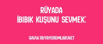 Rüyada İbibik Kuşunu Sevmek: