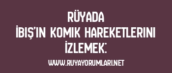 Rüyada İbiş’in Komik Hareketlerini İzlemek: