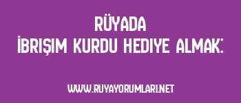 Rüyada İbrişim Kurdu Hediye Almak: