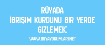 Rüyada İbrişim Kurdunu Bir Yerde Gizlemek:
