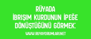 Rüyada İbrişim Kurdunun İpeğe Dönüştüğünü Görmek: