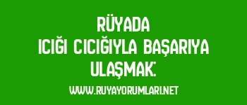 Rüyada Icığı Cıcığıyla Başarıya Ulaşmak: