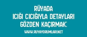Rüyada Icığı Cıcığıyla Detayları Gözden Kaçırmak: