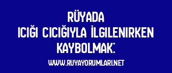 Rüyada Icığı Cıcığıyla İlgilenirken Kaybolmak: