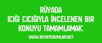 Rüyada Icığı Cıcığıyla İncelenen Bir Konuyu Tamamlamak: