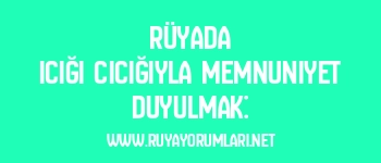 Rüyada Icığı Cıcığıyla Memnuniyet Duyulmak: