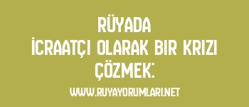 Rüyada İcraatçı Olarak Bir Krizi Çözmek: