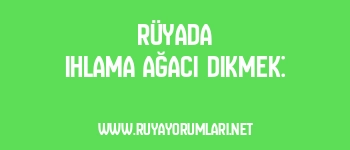 Rüyada Ihlama Ağacı Dikmek: