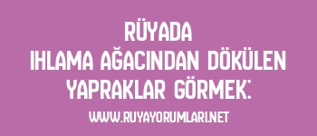 Rüyada Ihlama Ağacından Dökülen Yapraklar Görmek: