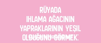 Rüyada Ihlama Ağacının Yapraklarının Yeşil Olduğunu Görmek: