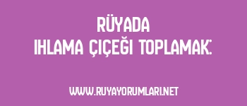 Rüyada Ihlama Çiçeği Toplamak: