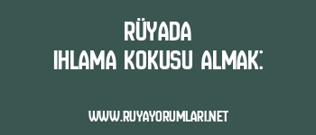 Rüyada Ihlama Kokusu Almak: