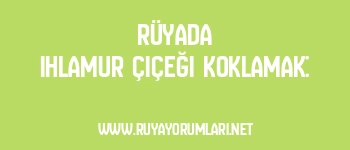 Rüyada Ihlamur Çiçeği Koklamak: