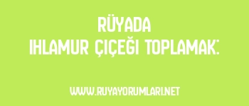 Rüyada Ihlamur Çiçeği Toplamak: