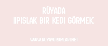 Rüyada Iıpıslak Bir Kedi Görmek: