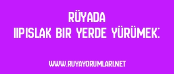 Rüyada Iıpıslak Bir Yerde Yürümek: