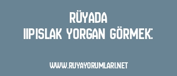 Rüyada Iıpıslak Yorgan Görmek: