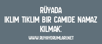 Rüyada Iklım Tıklım Bir Camide Namaz Kılmak: