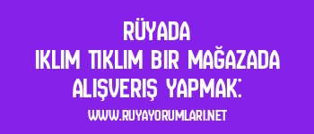 Rüyada Iklım Tıklım Bir Mağazada Alışveriş Yapmak: