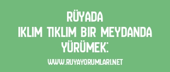 Rüyada Iklım Tıklım Bir Meydanda Yürümek: