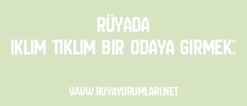 Rüyada Iklım Tıklım Bir Odaya Girmek: