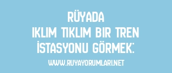 Rüyada Iklım Tıklım Bir Tren İstasyonu Görmek:
